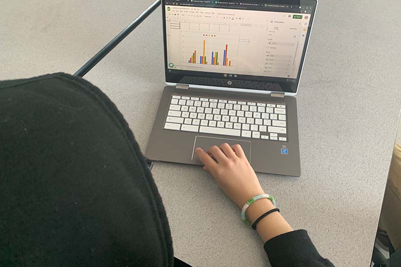 student looking at bar graph